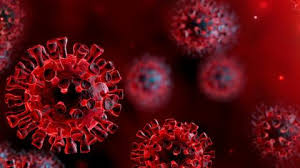 virus